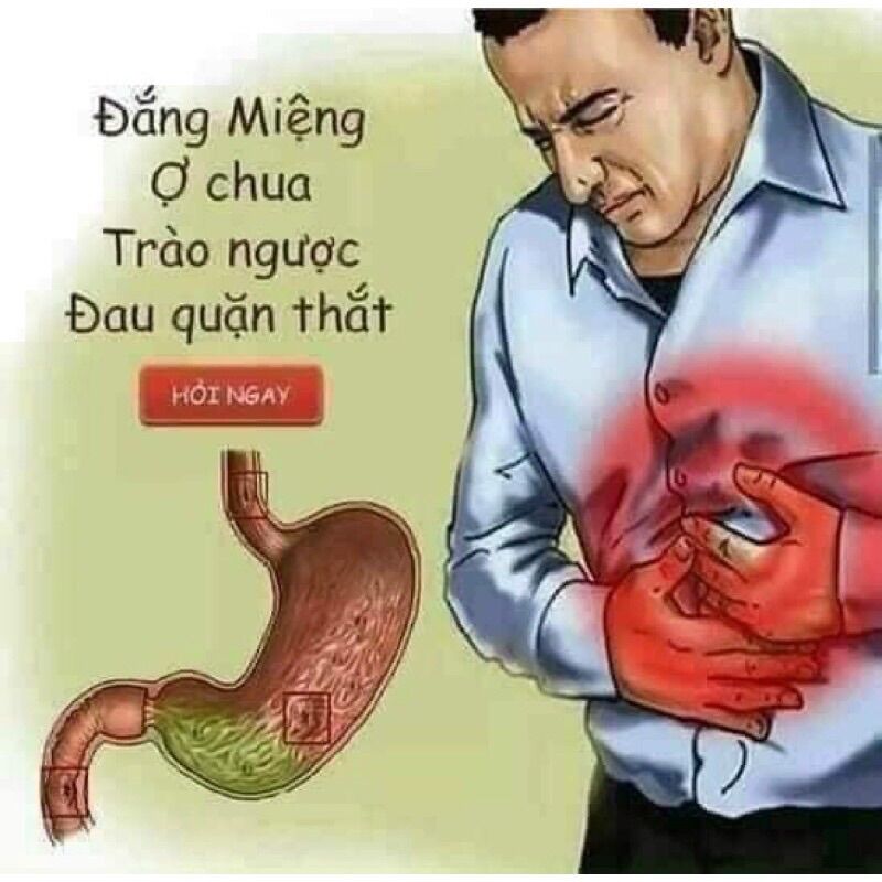 DẠ DÀY THẢO MỘC NAM - Hàng chính hãng