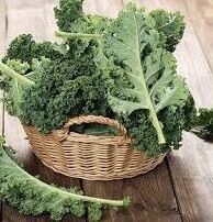 Giống cải xoăn kale