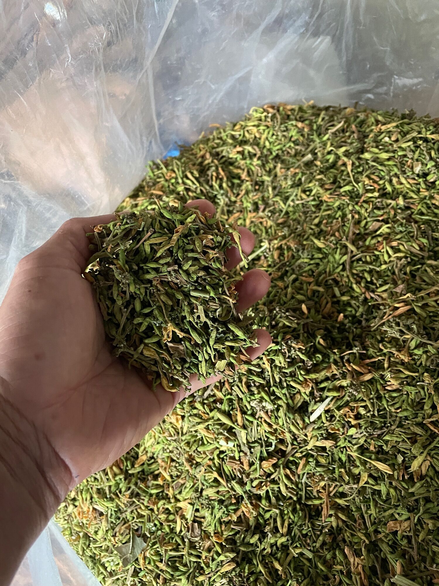 Hoa đu đủ đực sấy khô 500gr