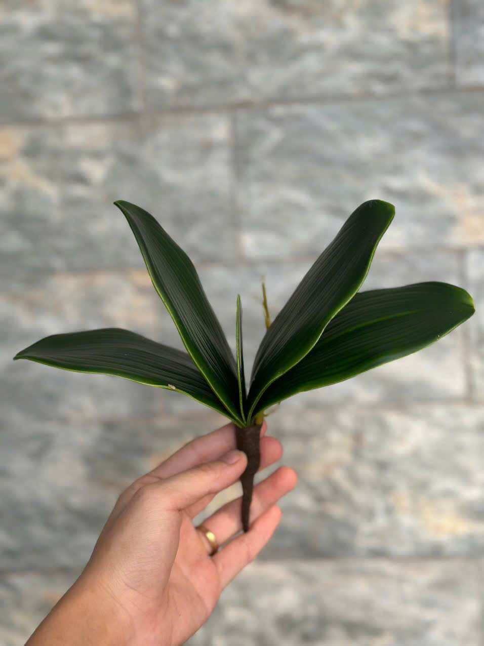 Cành Lan hồ điệp 3 nhánh cao cấp - hoa giả,hoa lụa