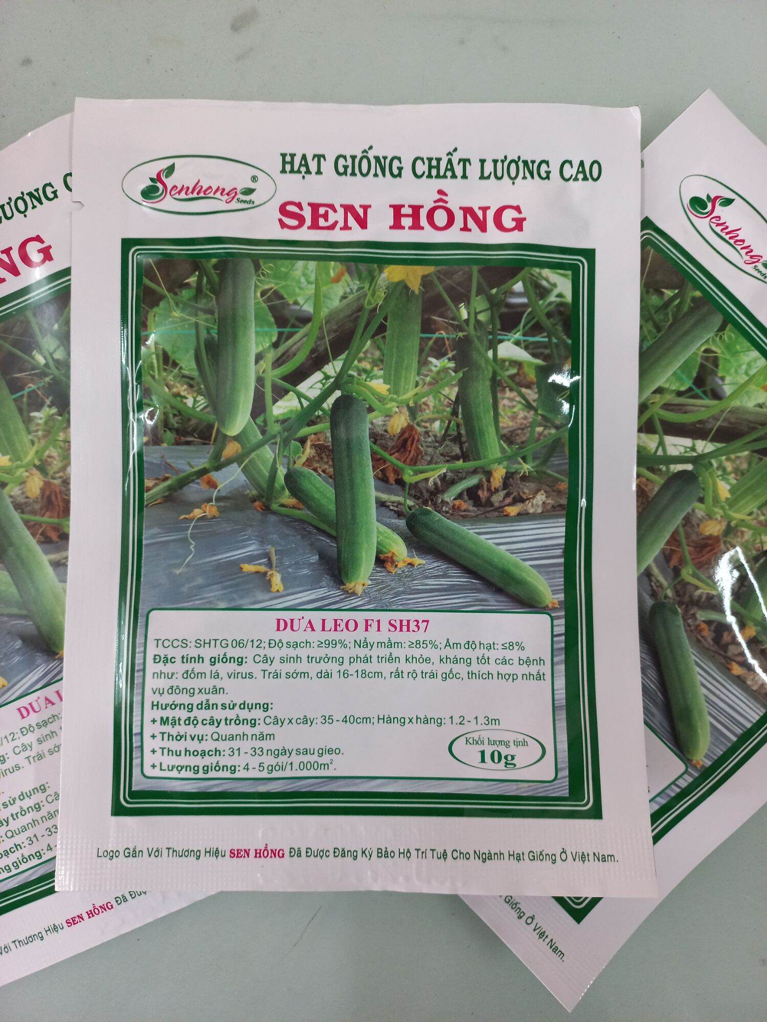 Hạt giống dưa leo f1 sh37 sen hồng 10g