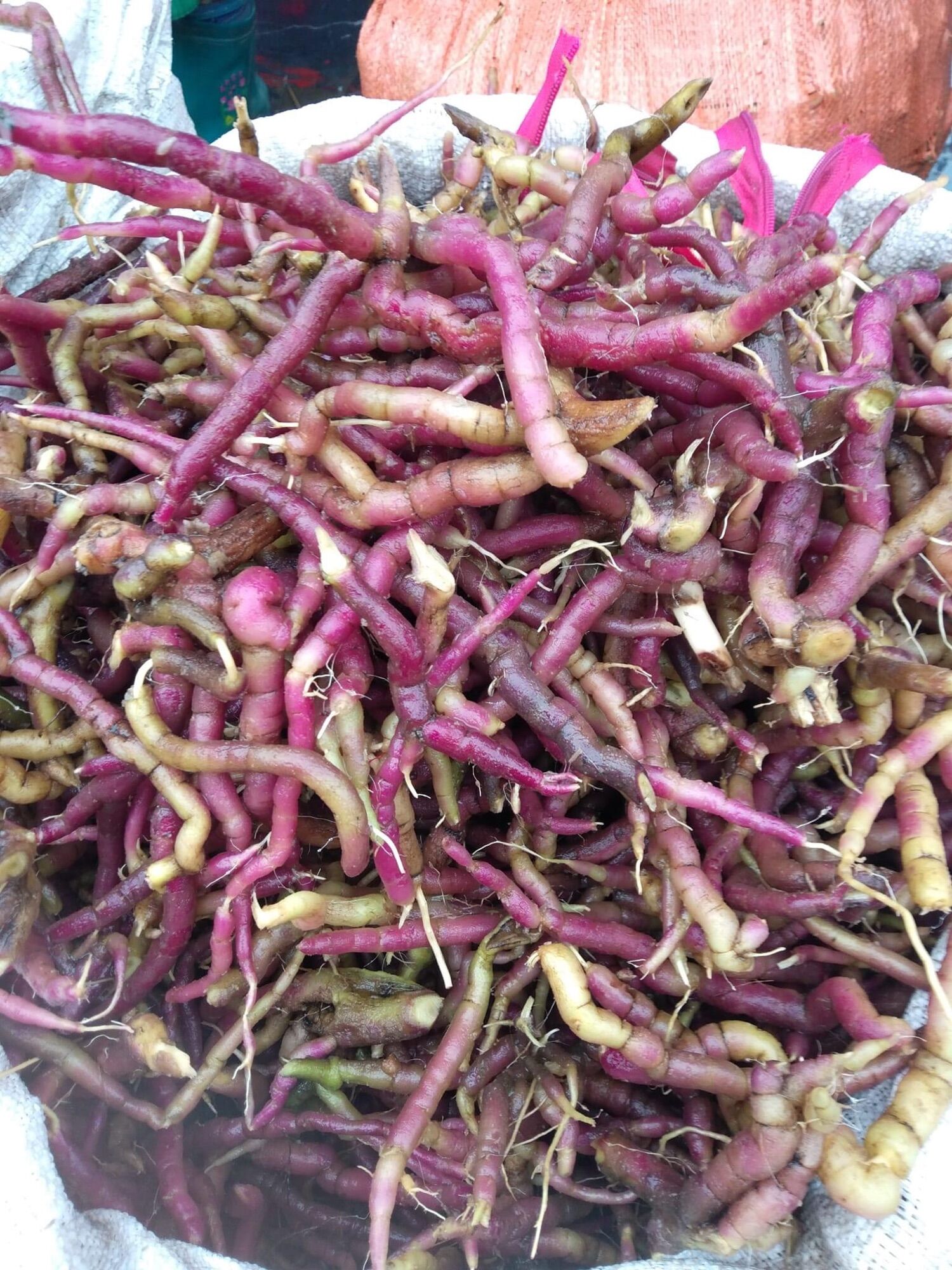 Ba Kích Tím Tươi 1Kg