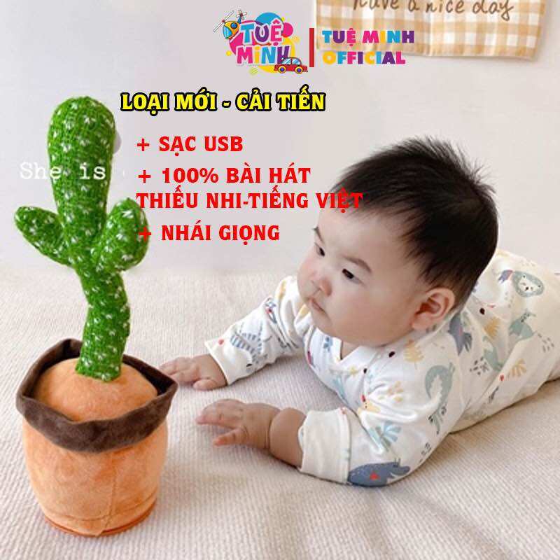 CÂY XƯƠNG RỒNG NHẢY MÚA