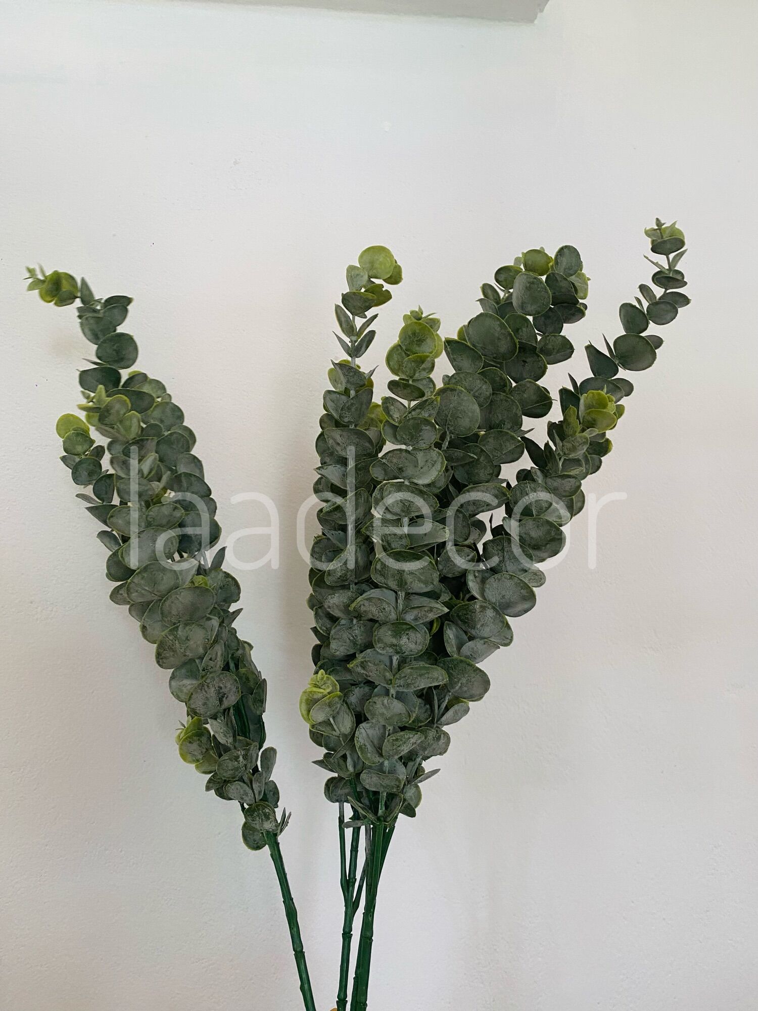 Lá cây bạch đàn trang trí - decor