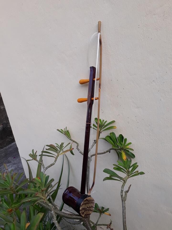 Đàn nhị hồ tre