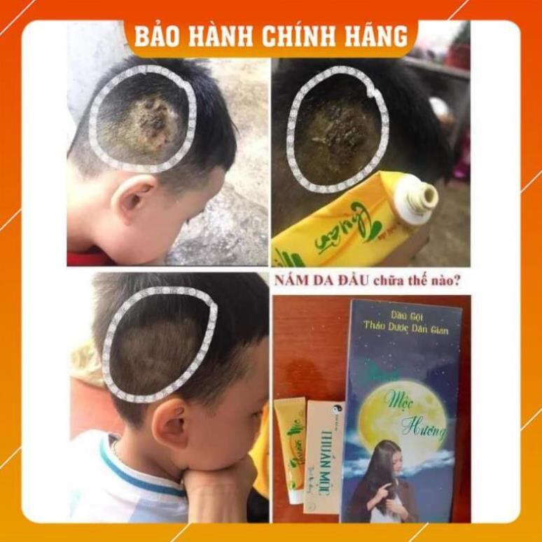 Dầu gội dân gian Thanh Mộc Hương