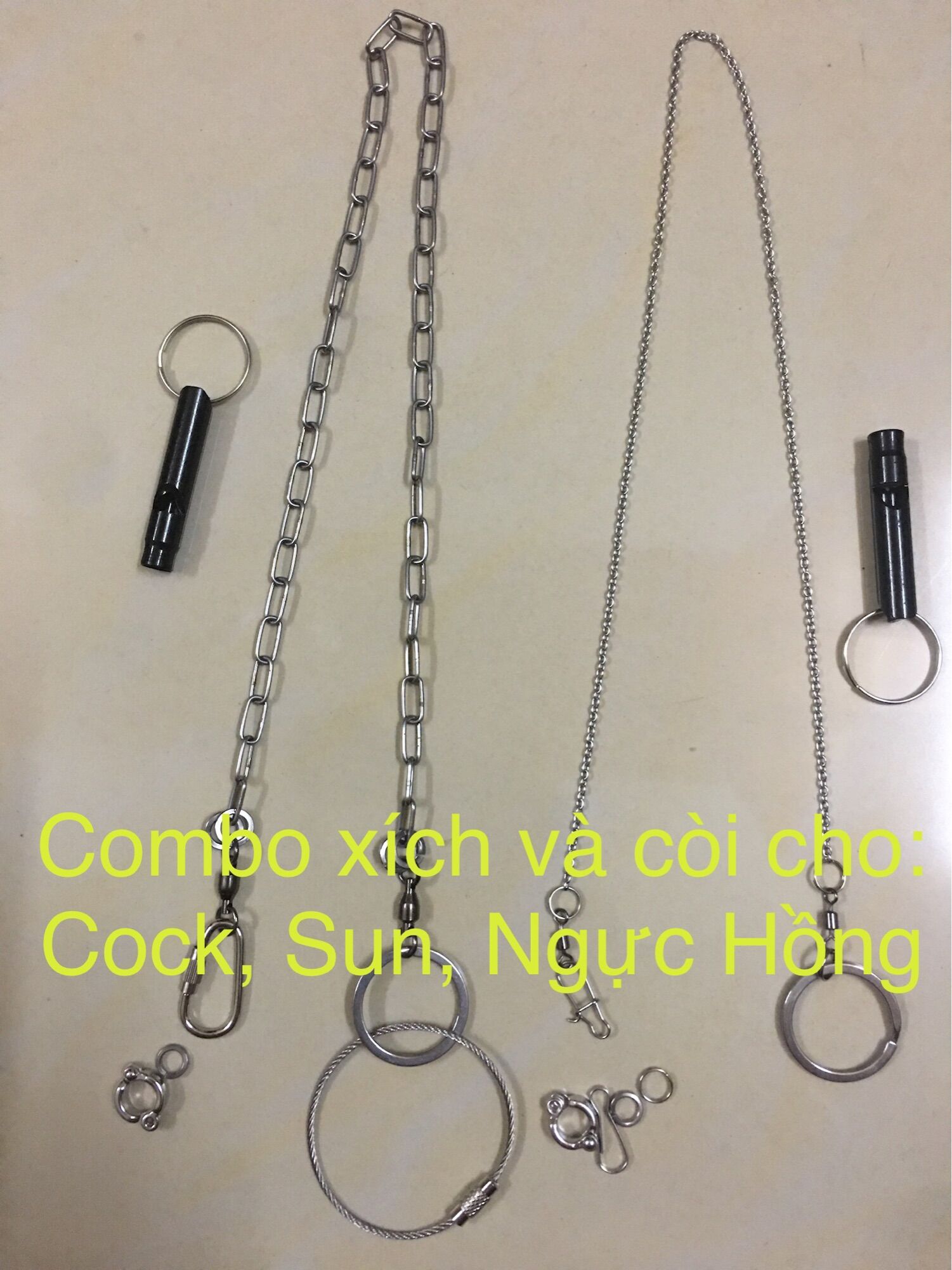 Combo còi huấn luyện và xích chân vẹt inox cho: sun, ngực hồng, cockatia, gc, xích