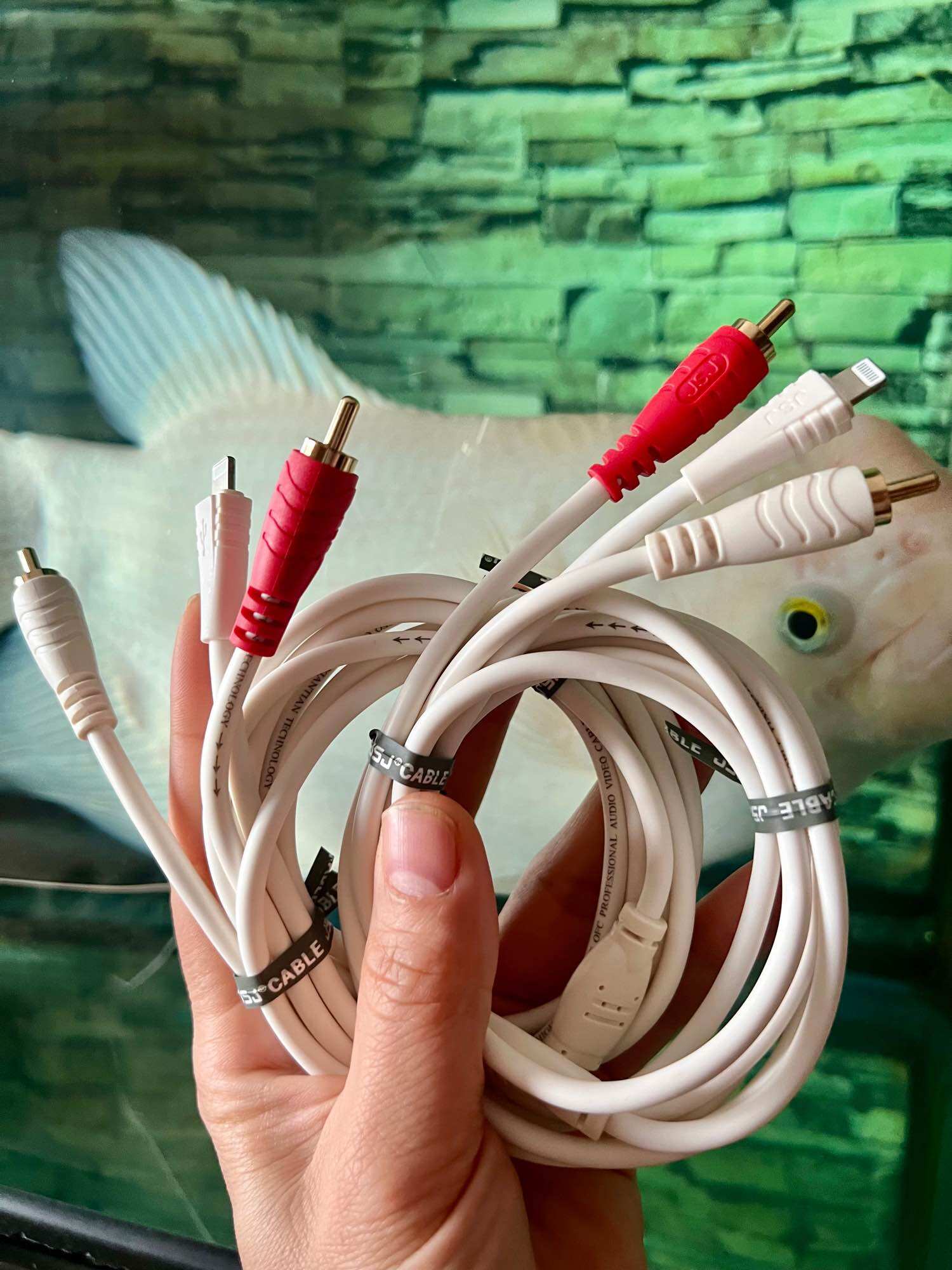 Rắc chuyển đổi từ iPhone sang đầu loa