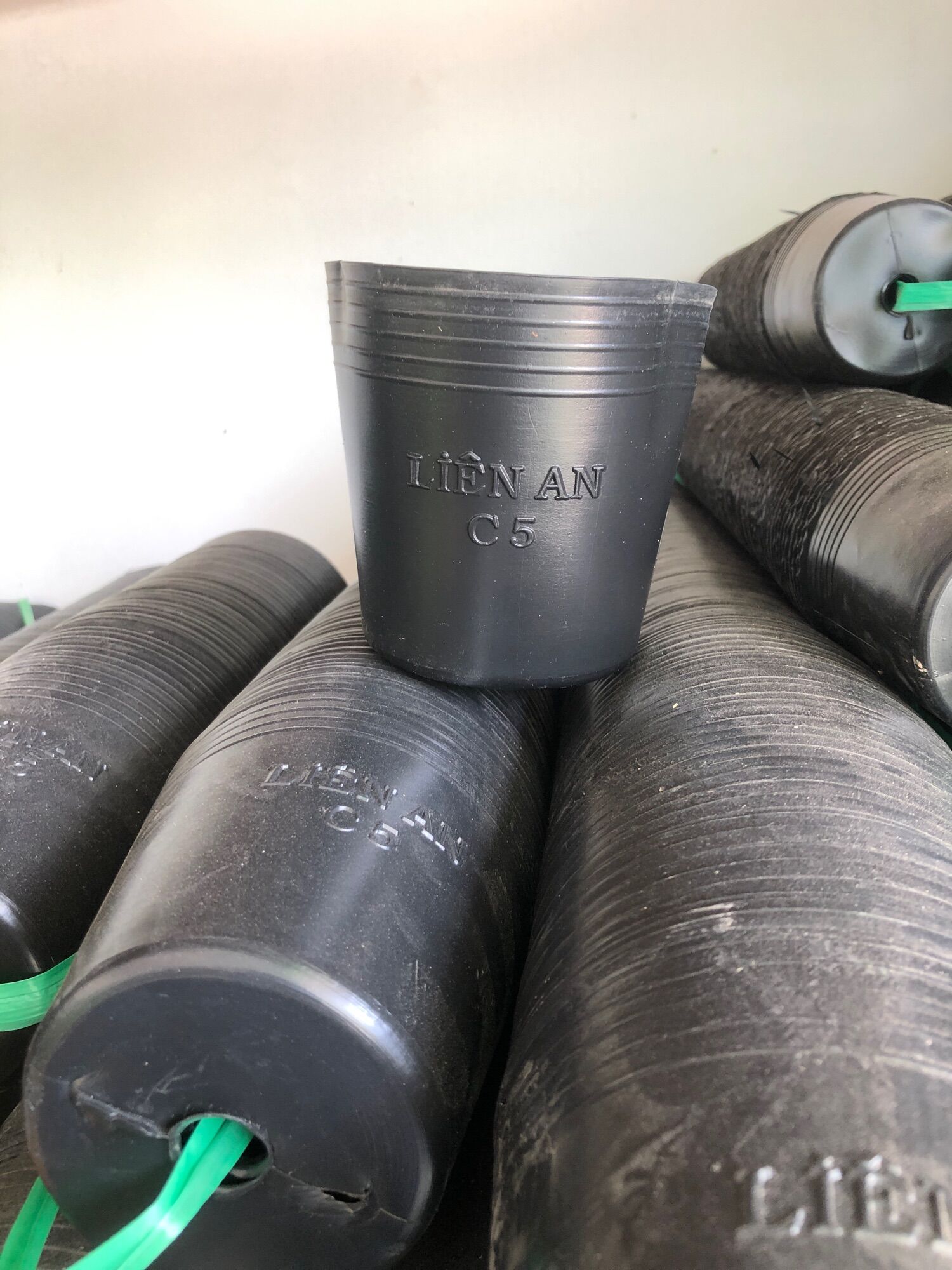 Combo 100c chậu nhựa mềm c5 kt (12x10)