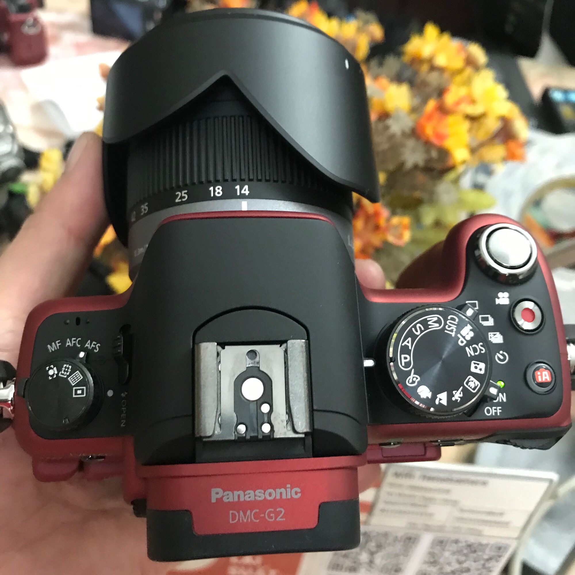 PANASONIC LUMIX G2 kèm lens 14-42