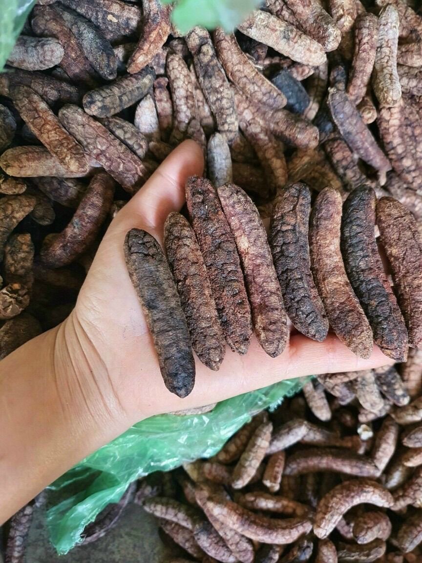 Chuối hạt rừng sấy khô 1kg