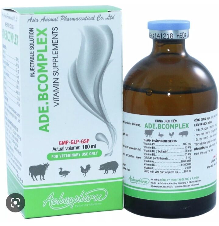 ADE Bcomplex 100ml Á Châu bồi dưỡng, tăng lực cho gà