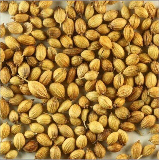 500gr Hạt Ngò ( Hạt mùi) Tây Bắc Loại 1