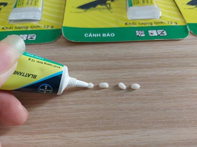 Gel diệt gián Đức, gián Mỹ Blattanex Cockroack - Bayer