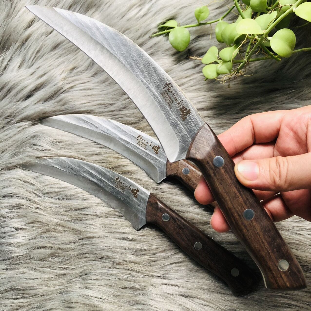 Dao khui sầu riêng, dao cắt trái cây Nhật