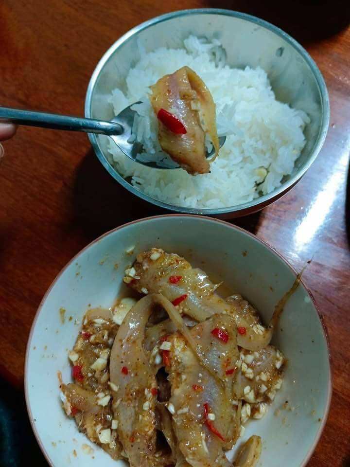 1kg Mắm cá Mồng Gà, Loại ngon vừa ăn