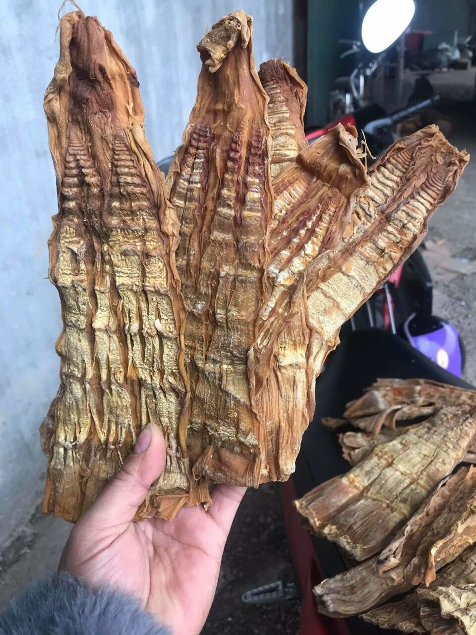 Măng khô giá sỉ