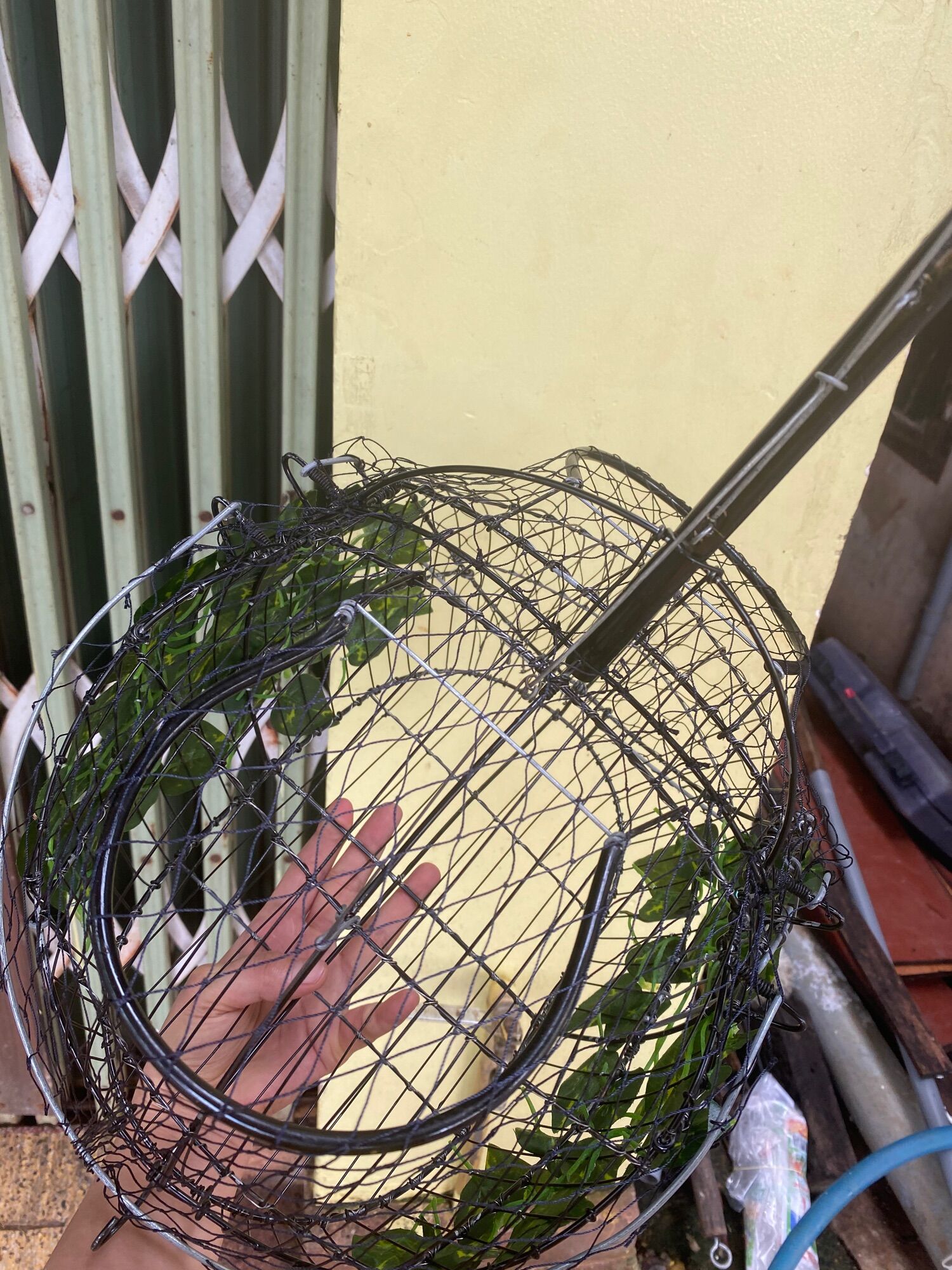 LỒNG BẪY CHÀO MÀO KẾT LÁ