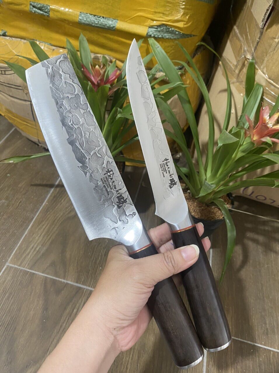 * Hiệu Aktatenki