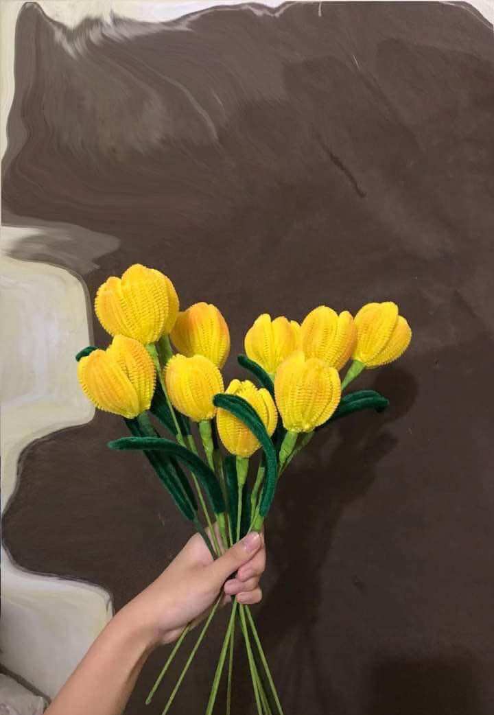 Hoa tulip kẽm Nhung
