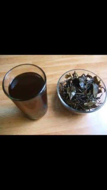 1kg Chè vằng sẻ Nghệ An