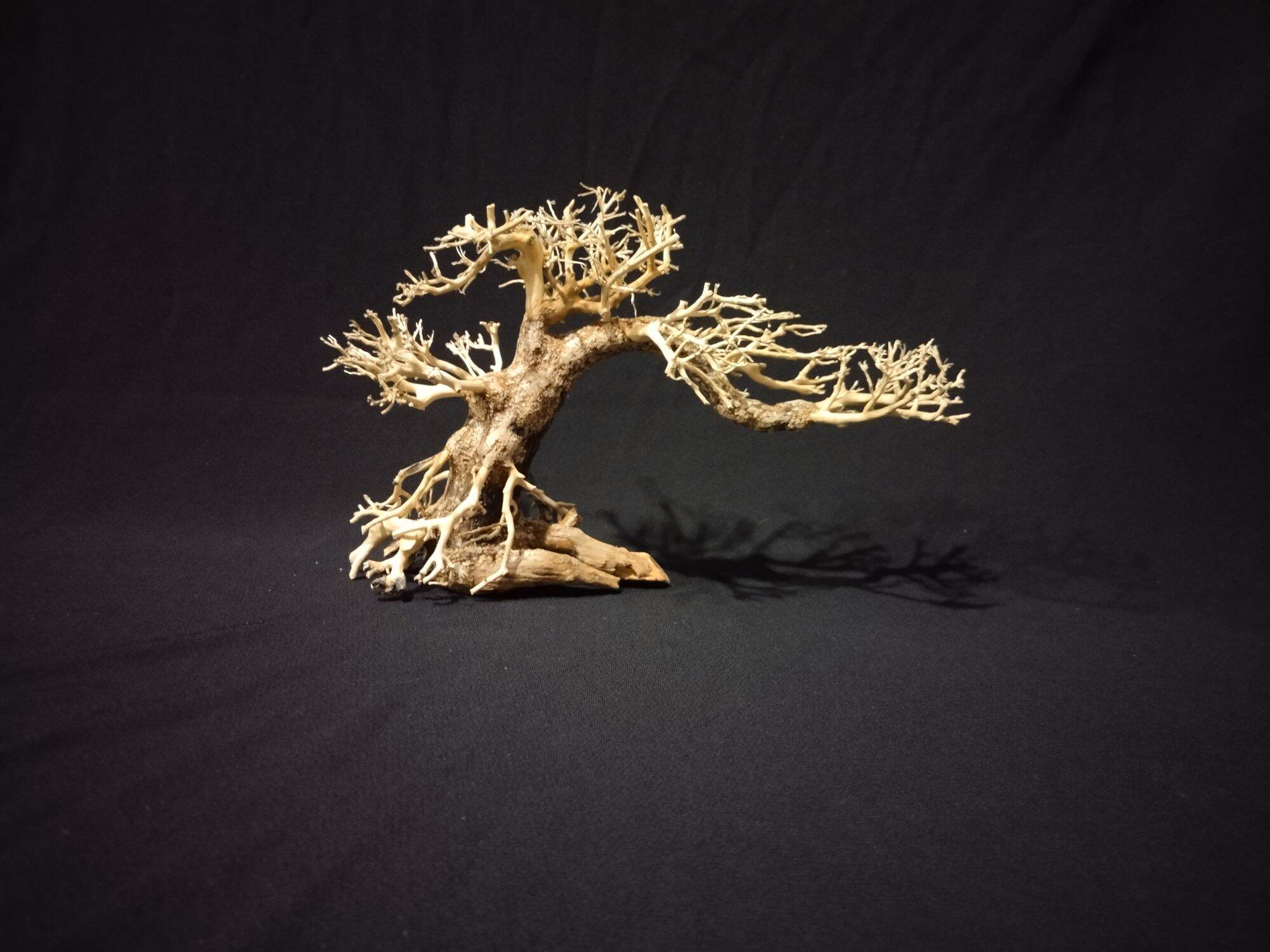 Lũa bonsai thủy sinh mini cho hồ cá 10 x 15 cm