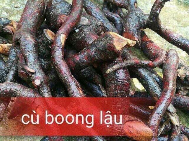 MÚ TỪN - CÙ BOONG LẬU 5KG