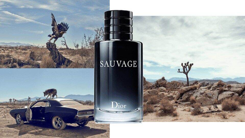 [HCM]Nước hoa Dior Sauvage EDT