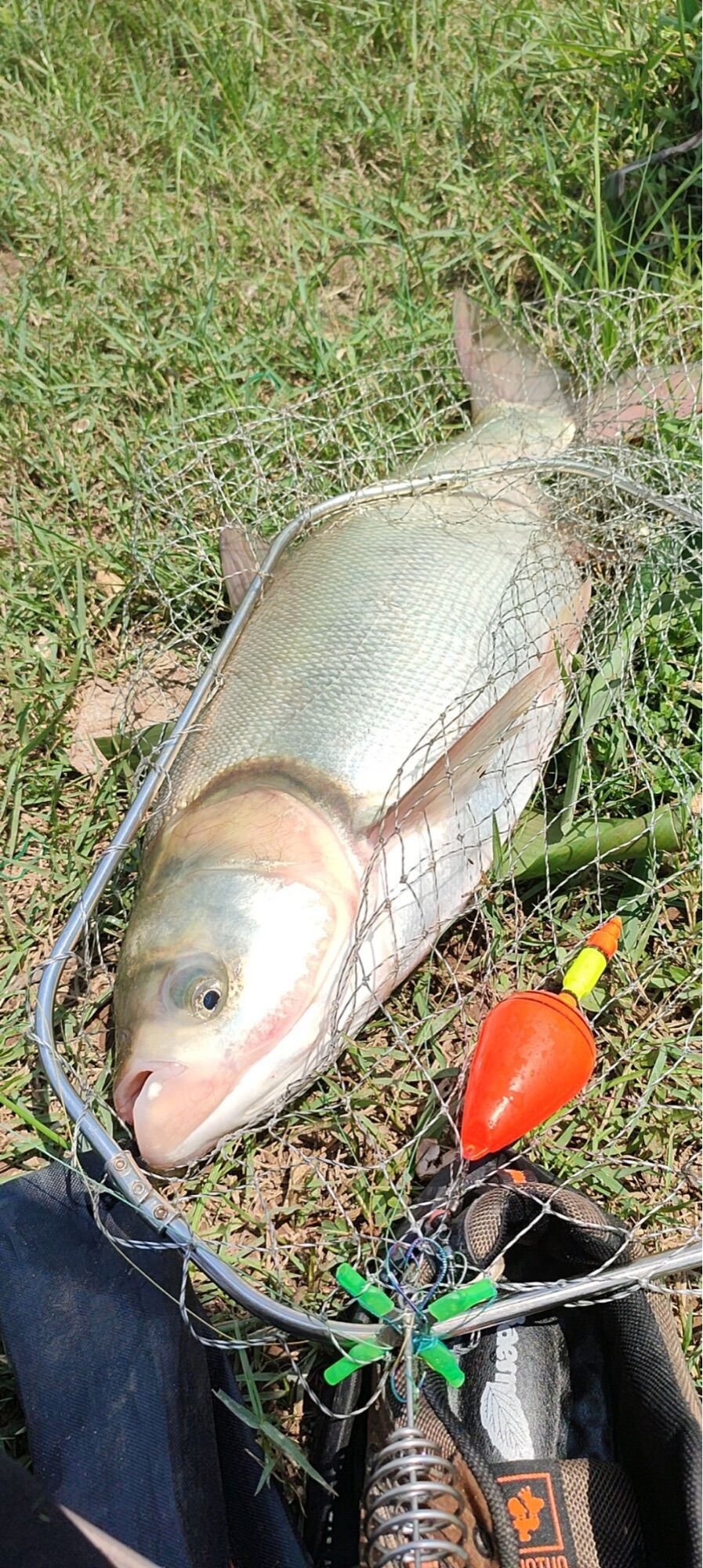 Mồi câu Mè nanber 700gram + 7