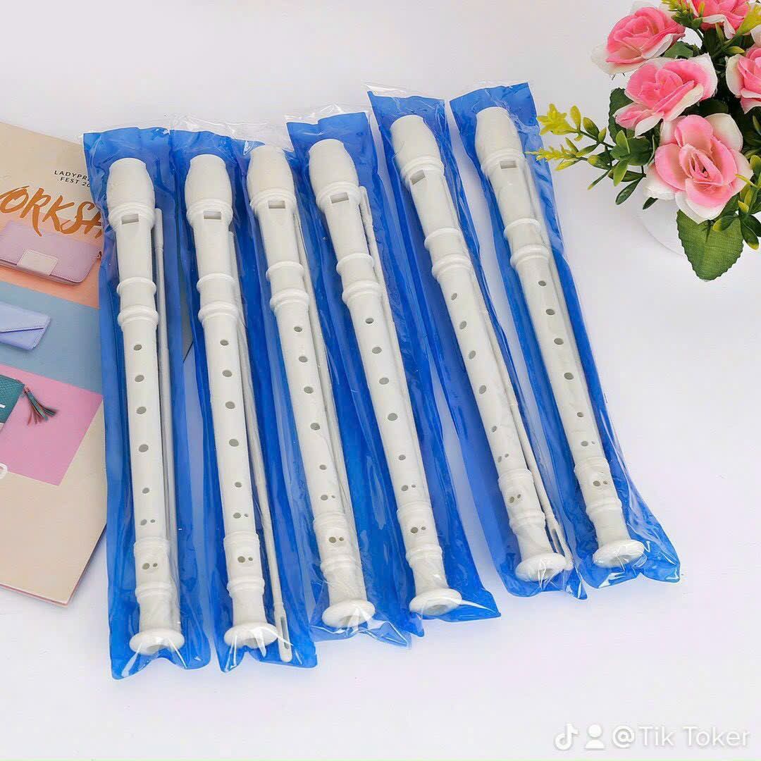 Sáo nhựa recoder 8 lỗ học sinh học nhạc