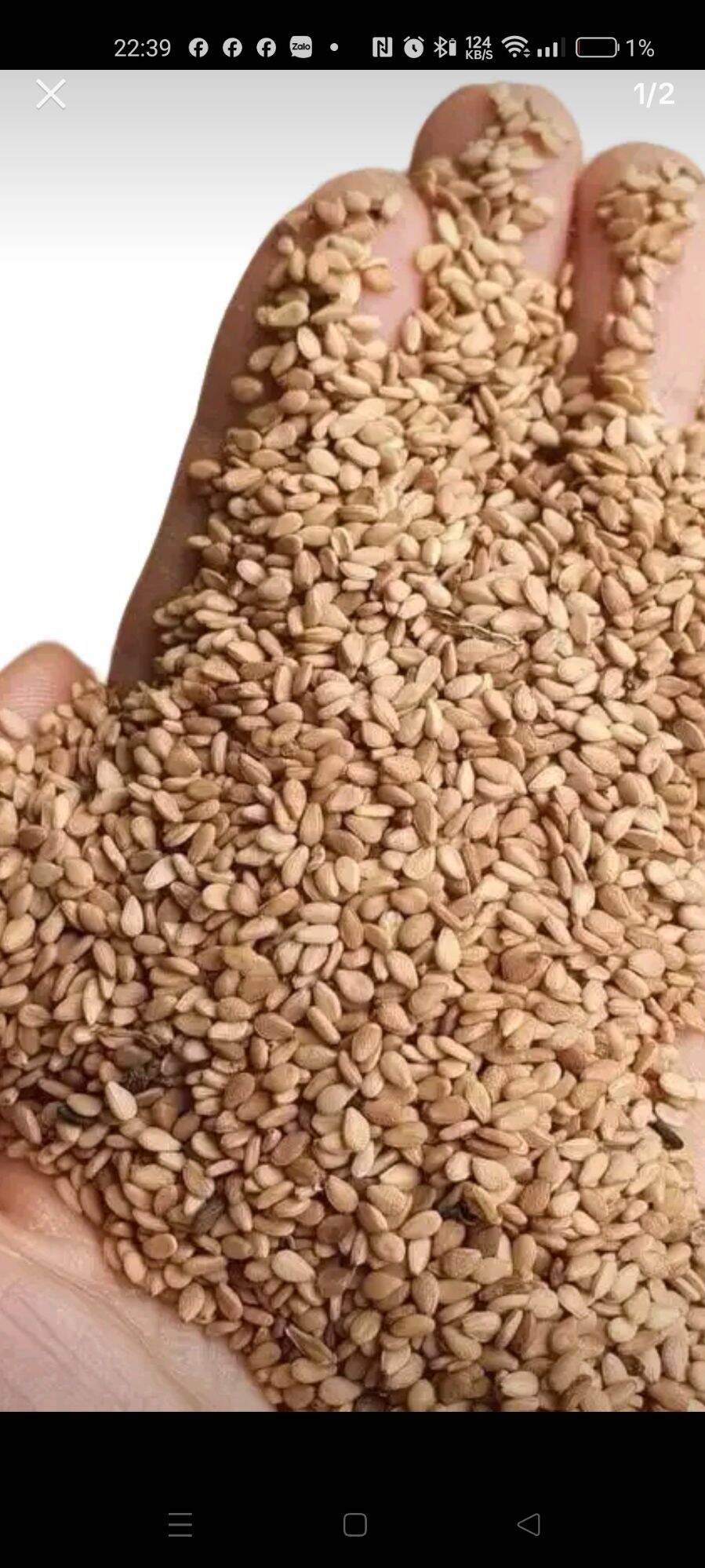Vừng Vàng Loại 1
