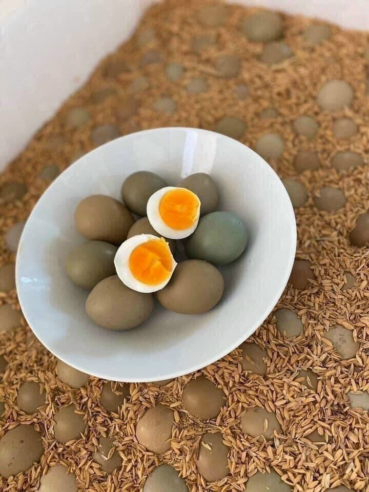 5 quả trứng chim tri đỏ ăn (ăn rất bổ ạ)