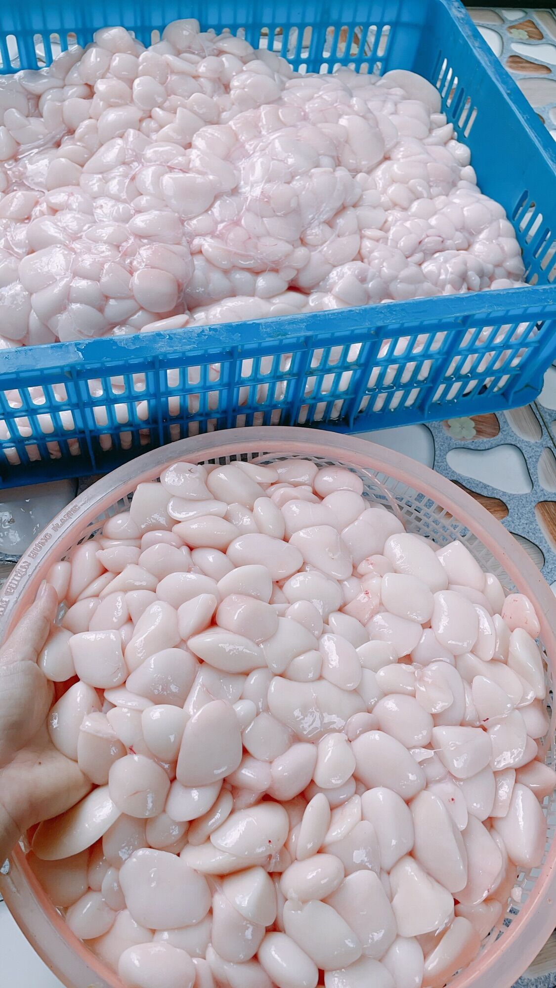 Mỡ trăn nguyên chất 100%