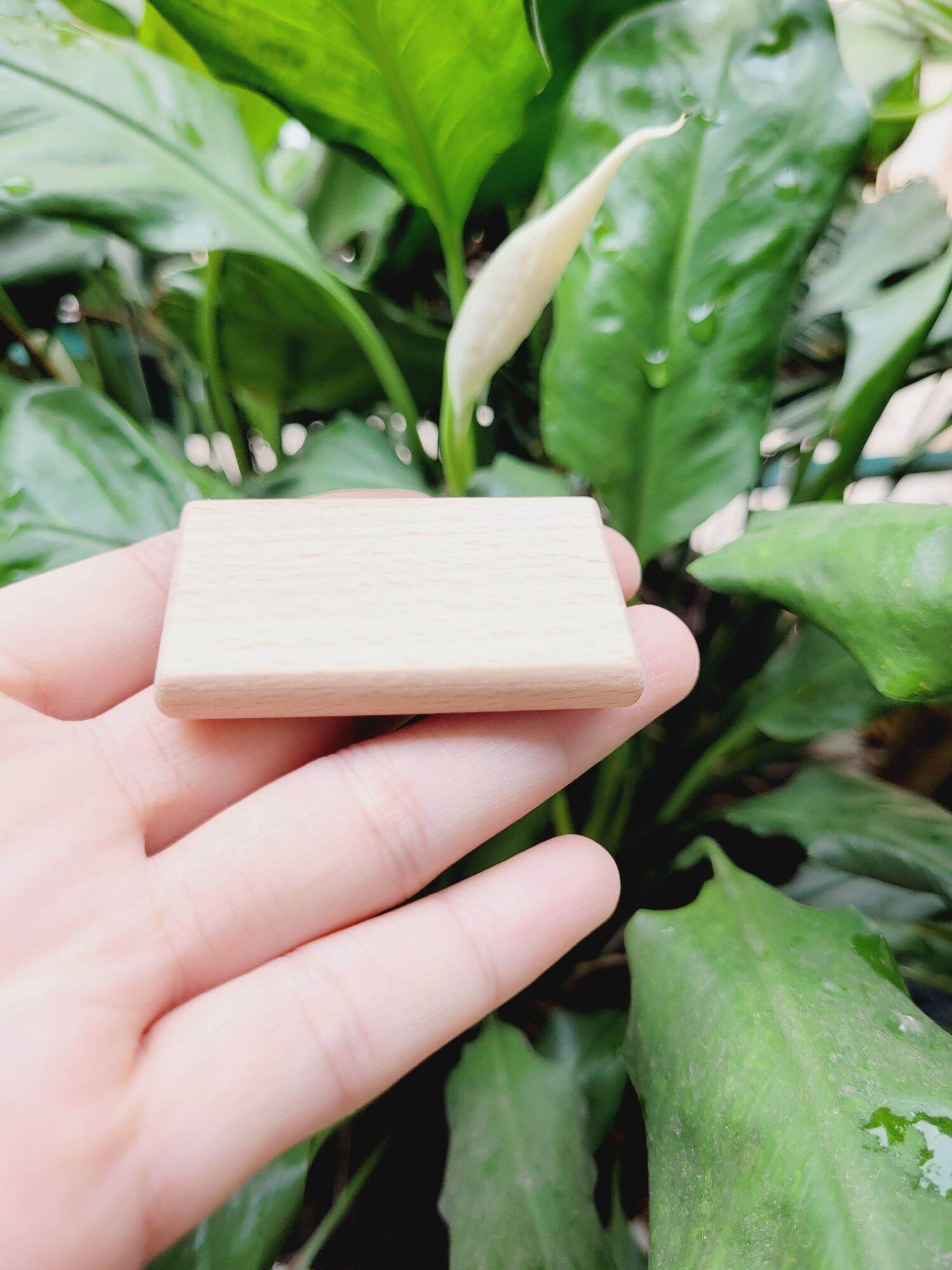 Thớt Gỗ Mini và loại dày Cho dollhouse