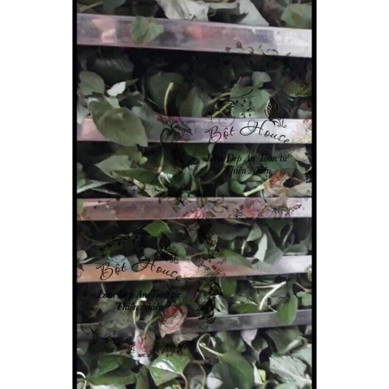 [HCM]BỘT DIẾP CÁ HANDMADE NHÀ BỘT 100gr