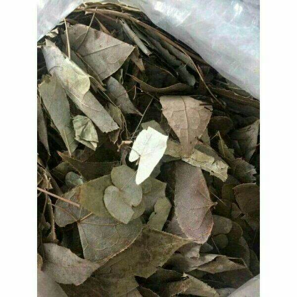 500g lá dâm dương hoắc