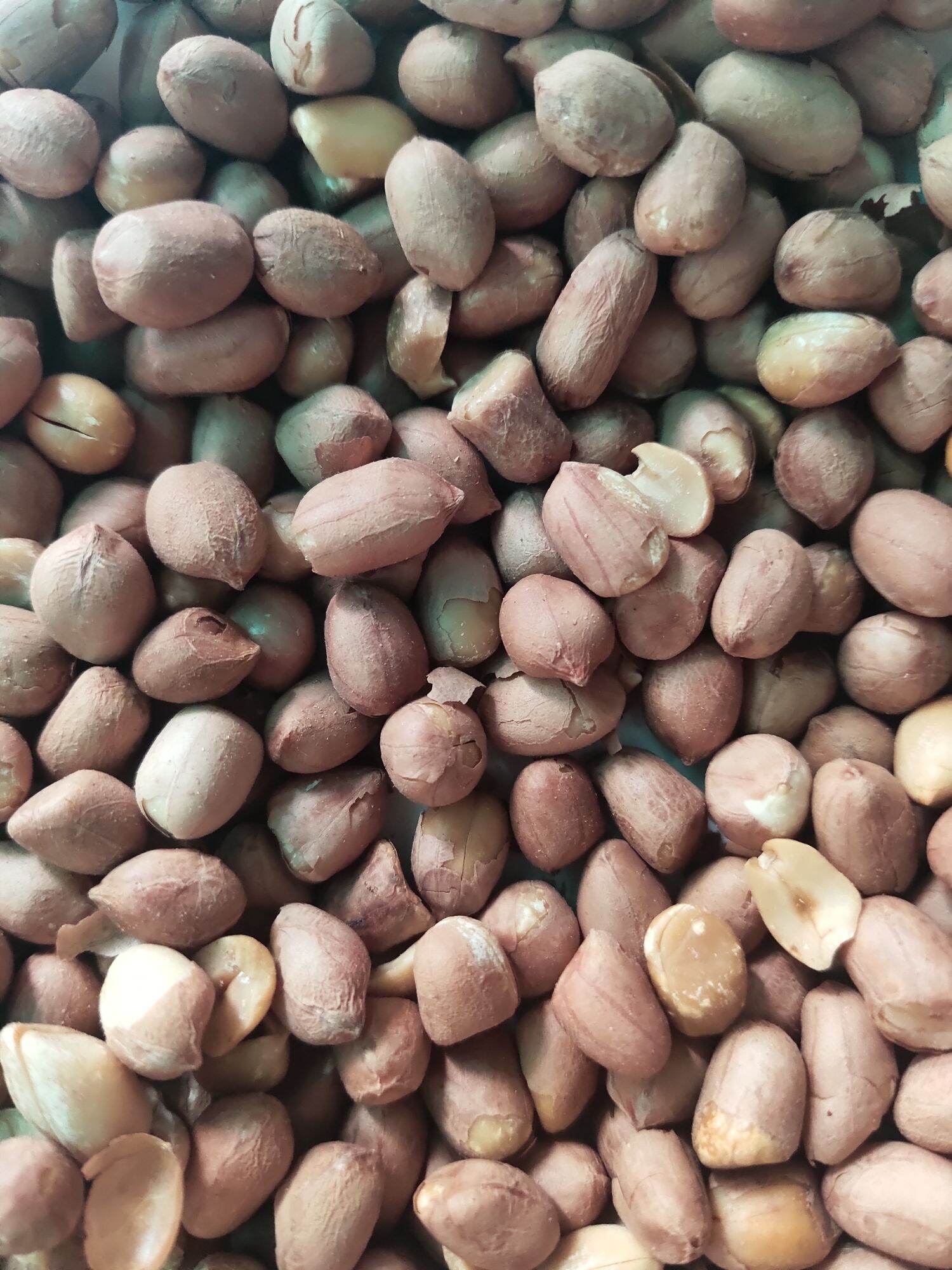 0.5kg Đậu phộng húng lìu