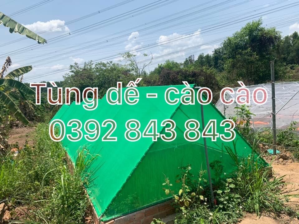 lồng nuôi cào cào