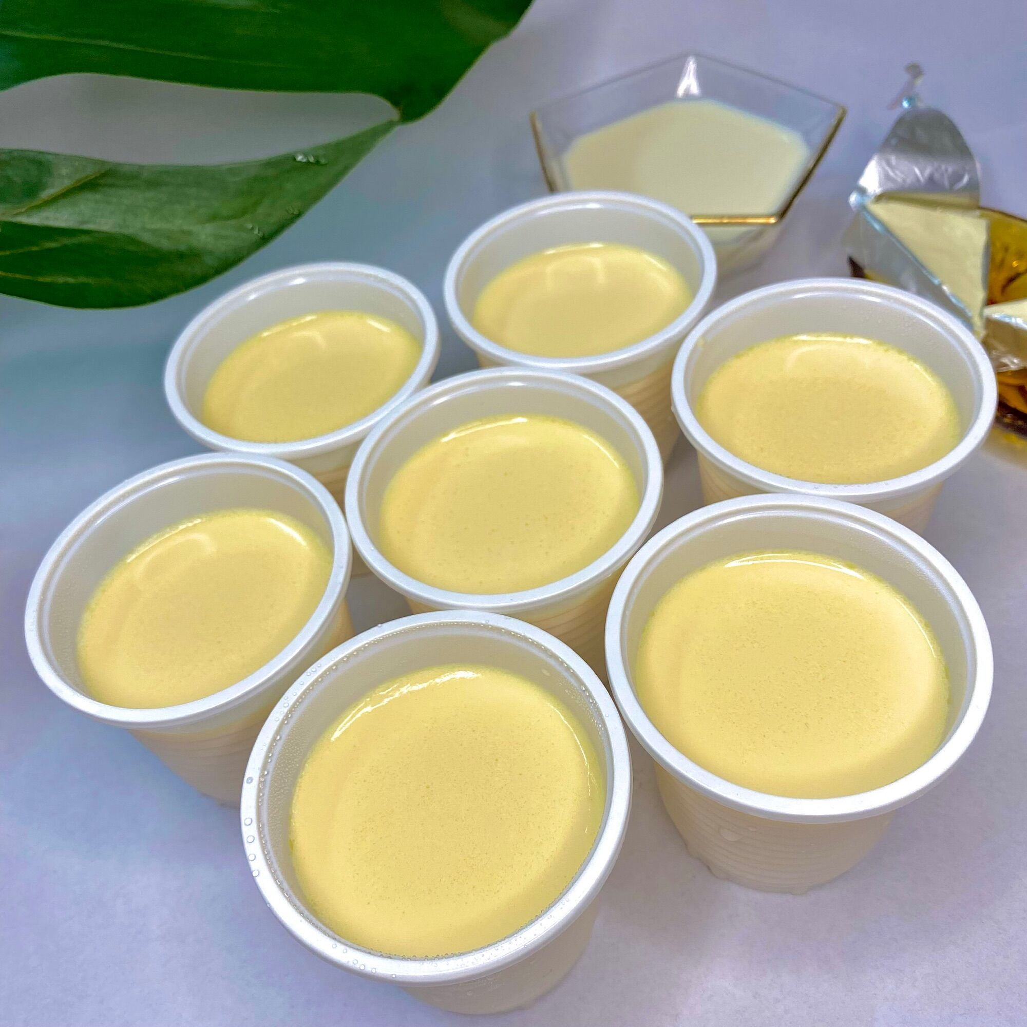 Set Yaourt Phô Mai Đà Lạt chỉ 100k/10 hũ