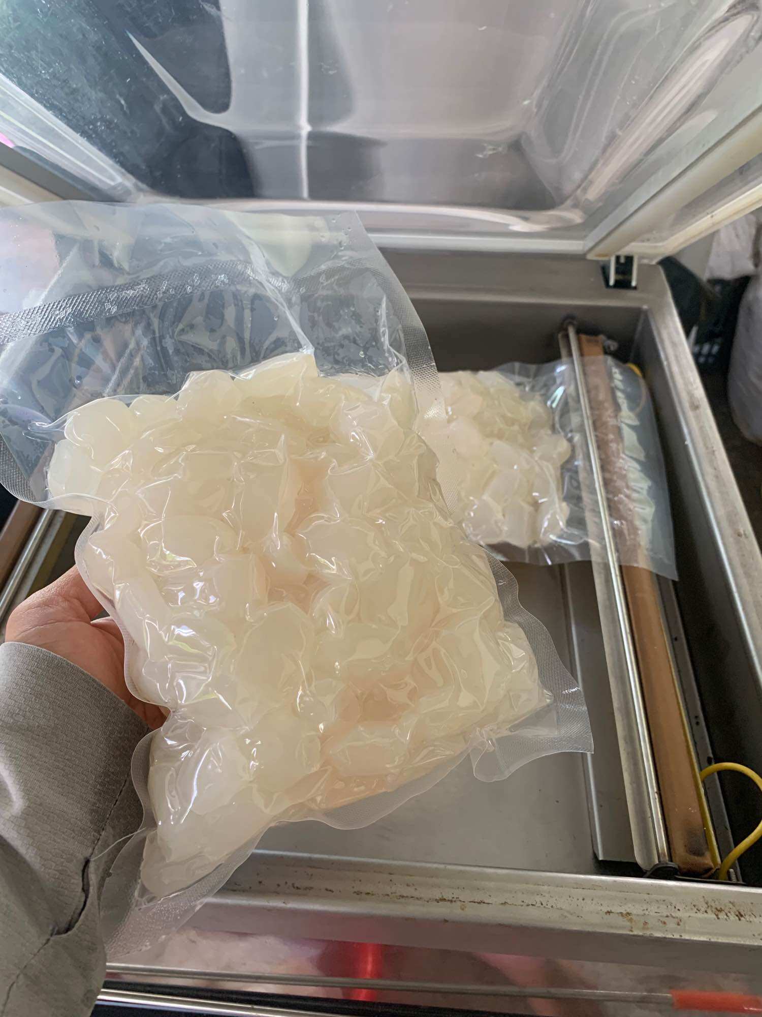 1kg hạt đác nha trang size to, mềm dẻo,ko cứng( có hút chân không)