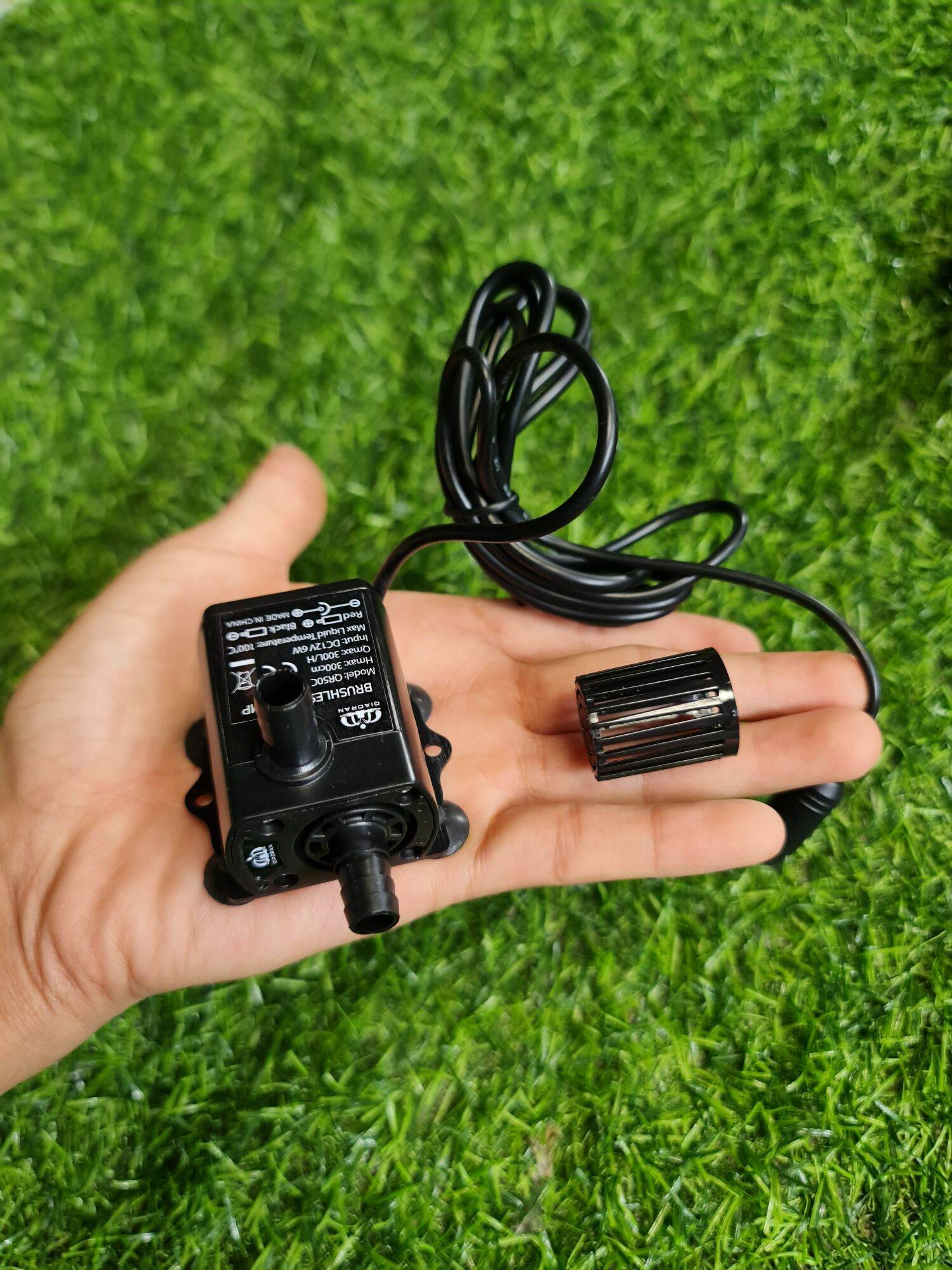 Combo bẫy chim héc xoan cao cấp