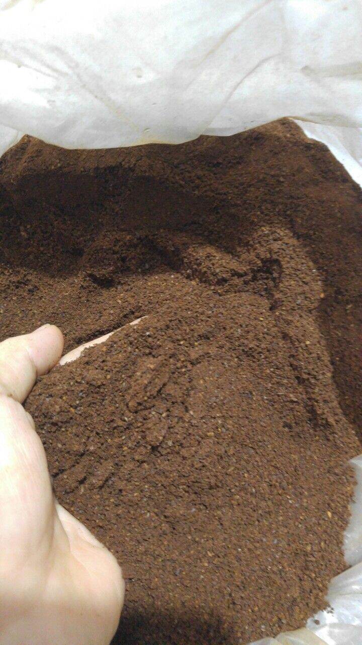 [HCM]Càphê bột nguyên chất 100%Daklak_500gr.