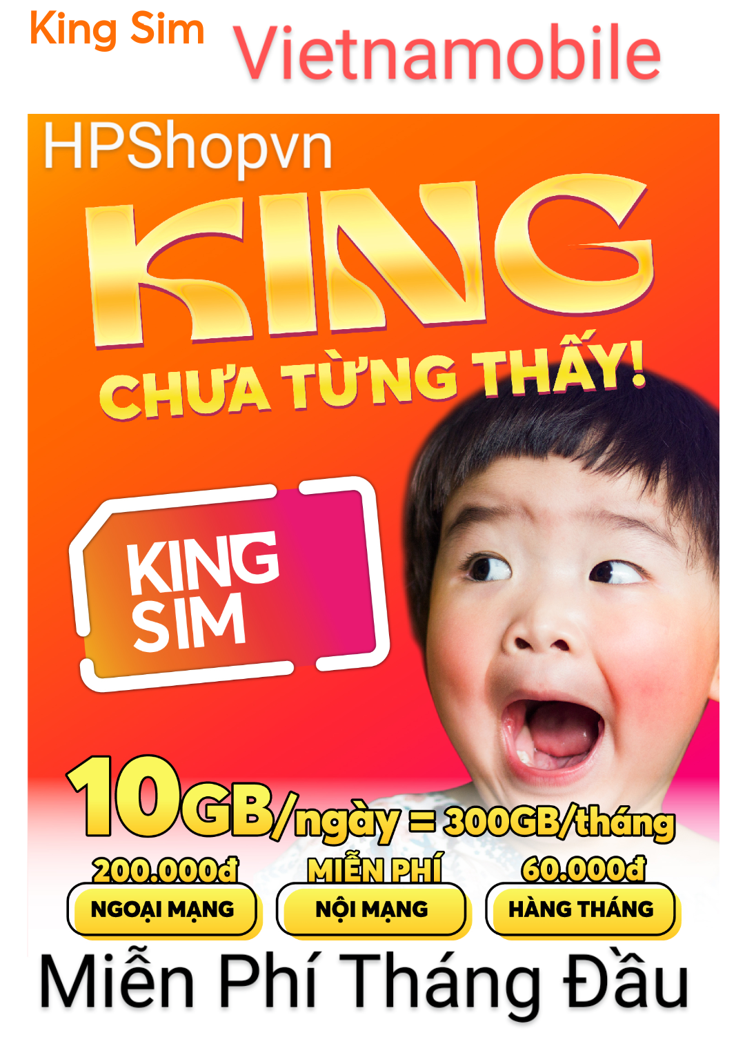 QUE LẤY SIM TẶNG SIM VIETNAMOBILE KING 10GB NGÀY 200K NGOẠI MẠNG 8GB Từ