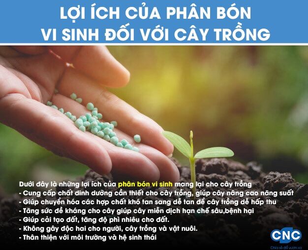 PHÂN BÓN DÀNH CHO SEN ĐÁ 1kg