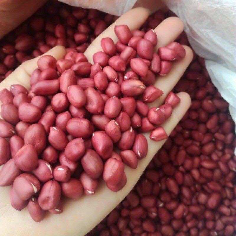 1Kg lạc đỏ Tây Bắc thơm ngon chắc củ