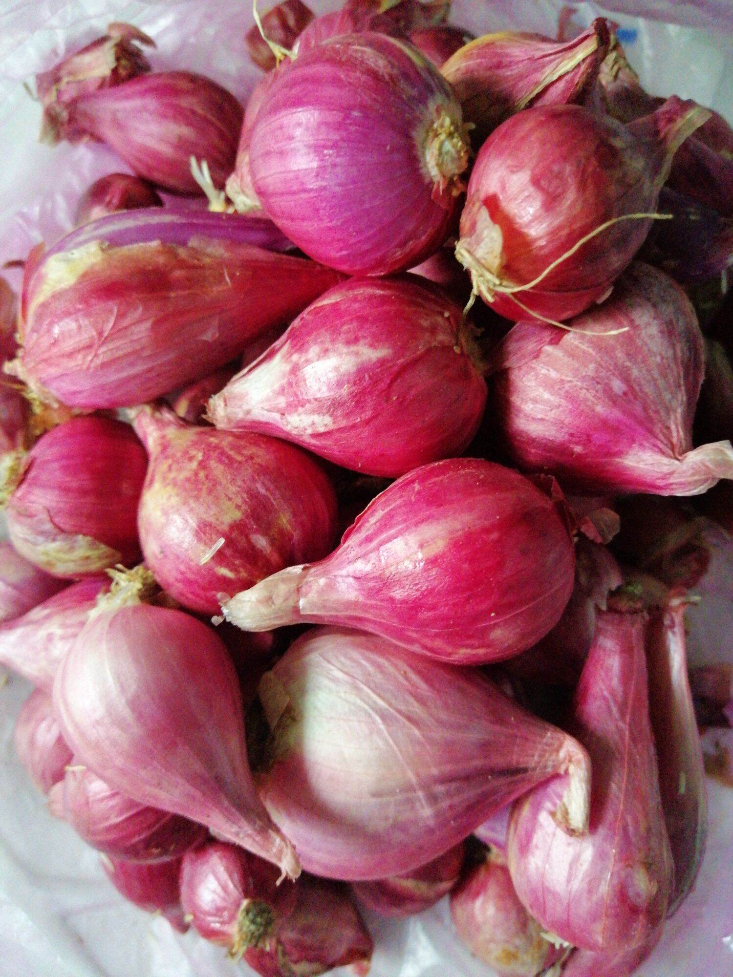 1kg hành hương tím, hành tím lý sơn ( loại 1 củ to)