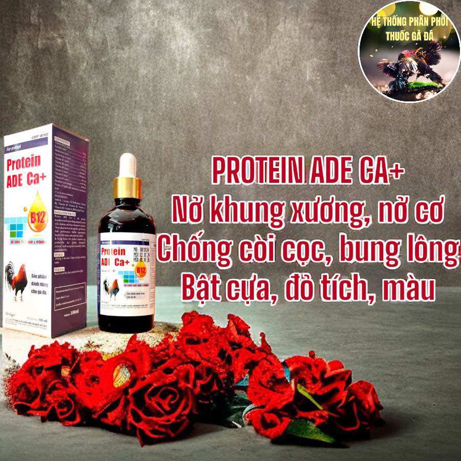 Thuốc gà đá protein b12 nhân sâm ade ca+ tăng cơ, nở khung, mát gà, tăng nước máu 100 ml