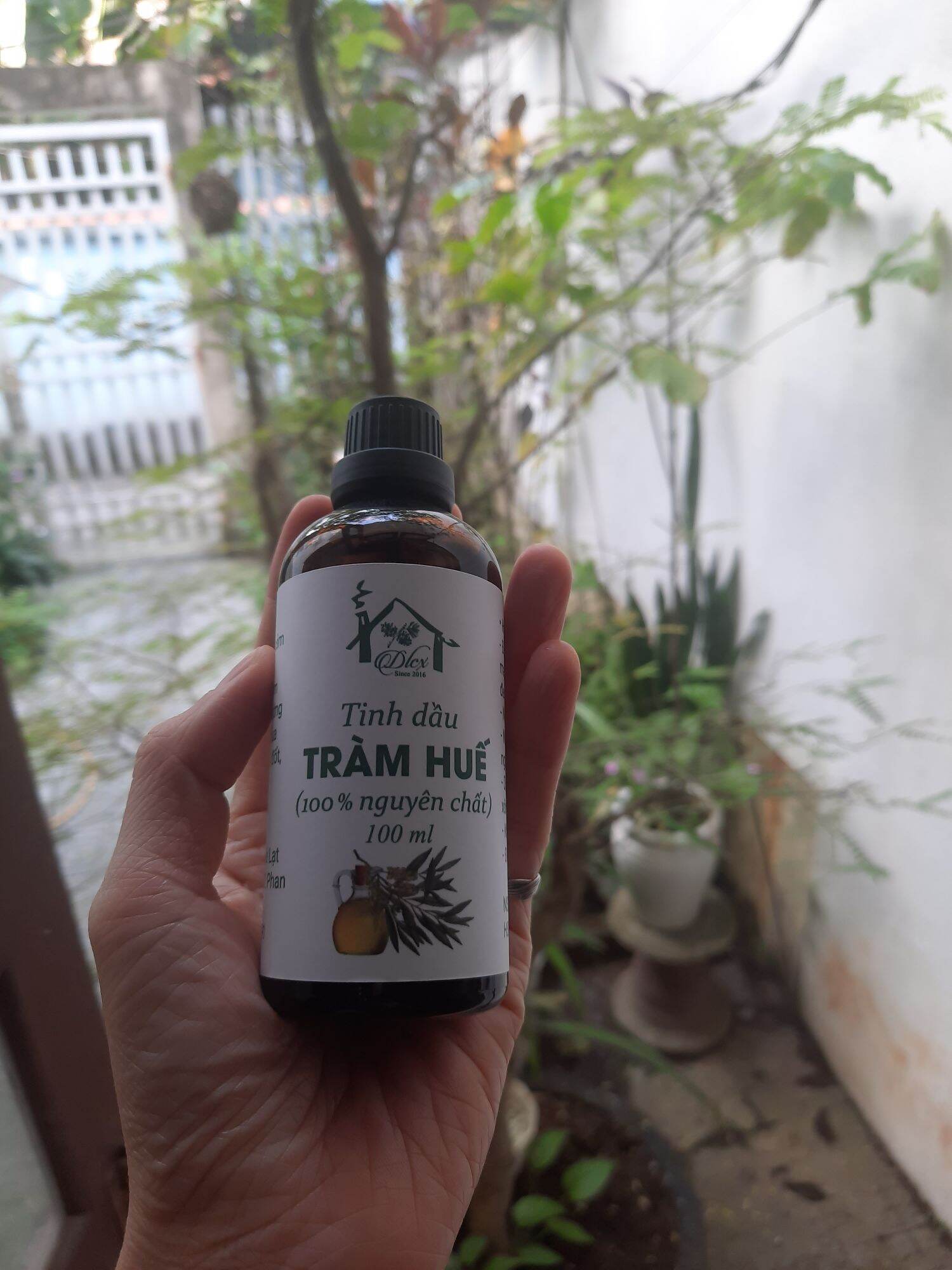 Dầu tràm nguyên chất Phú Lộc, Huế
