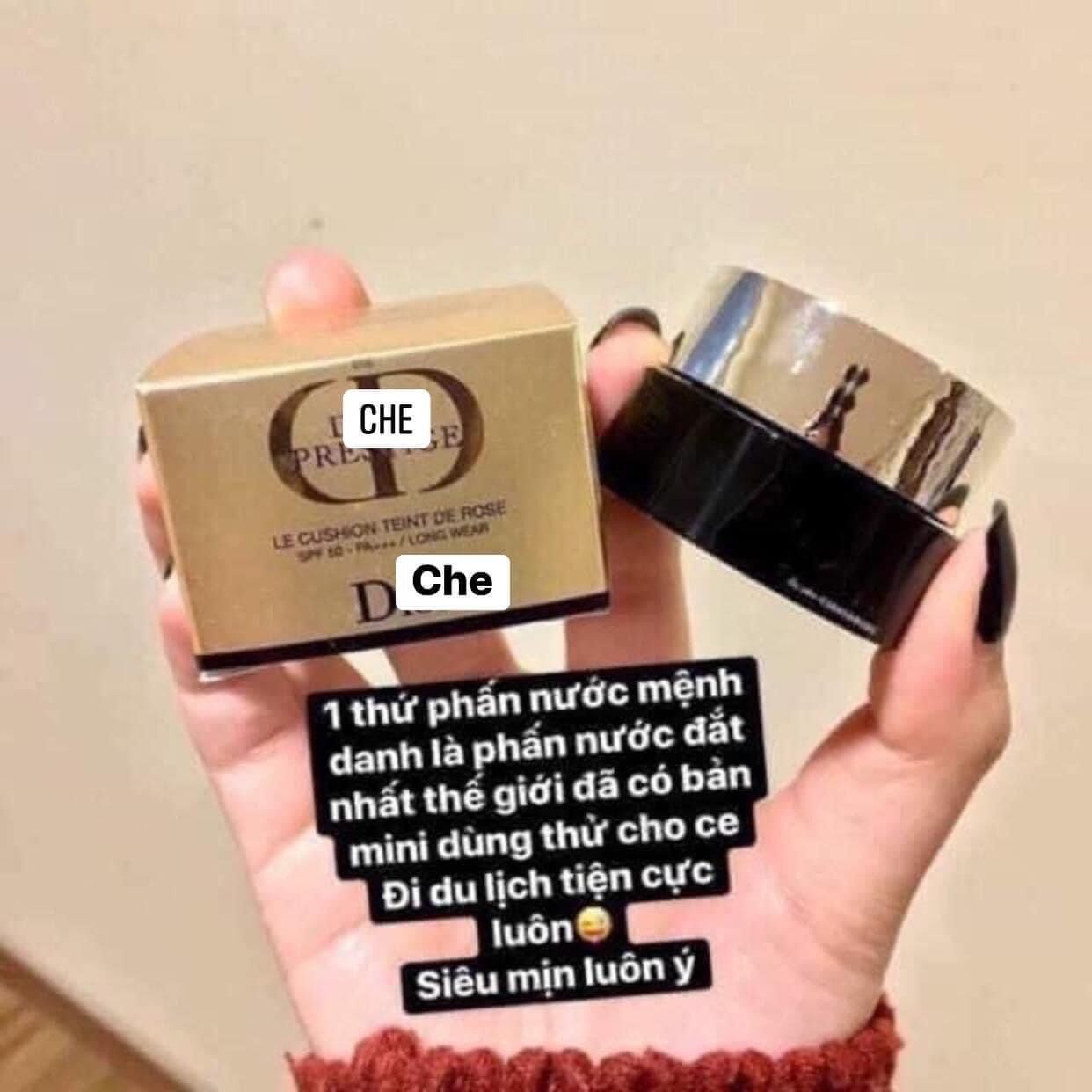 Cushion dior mini