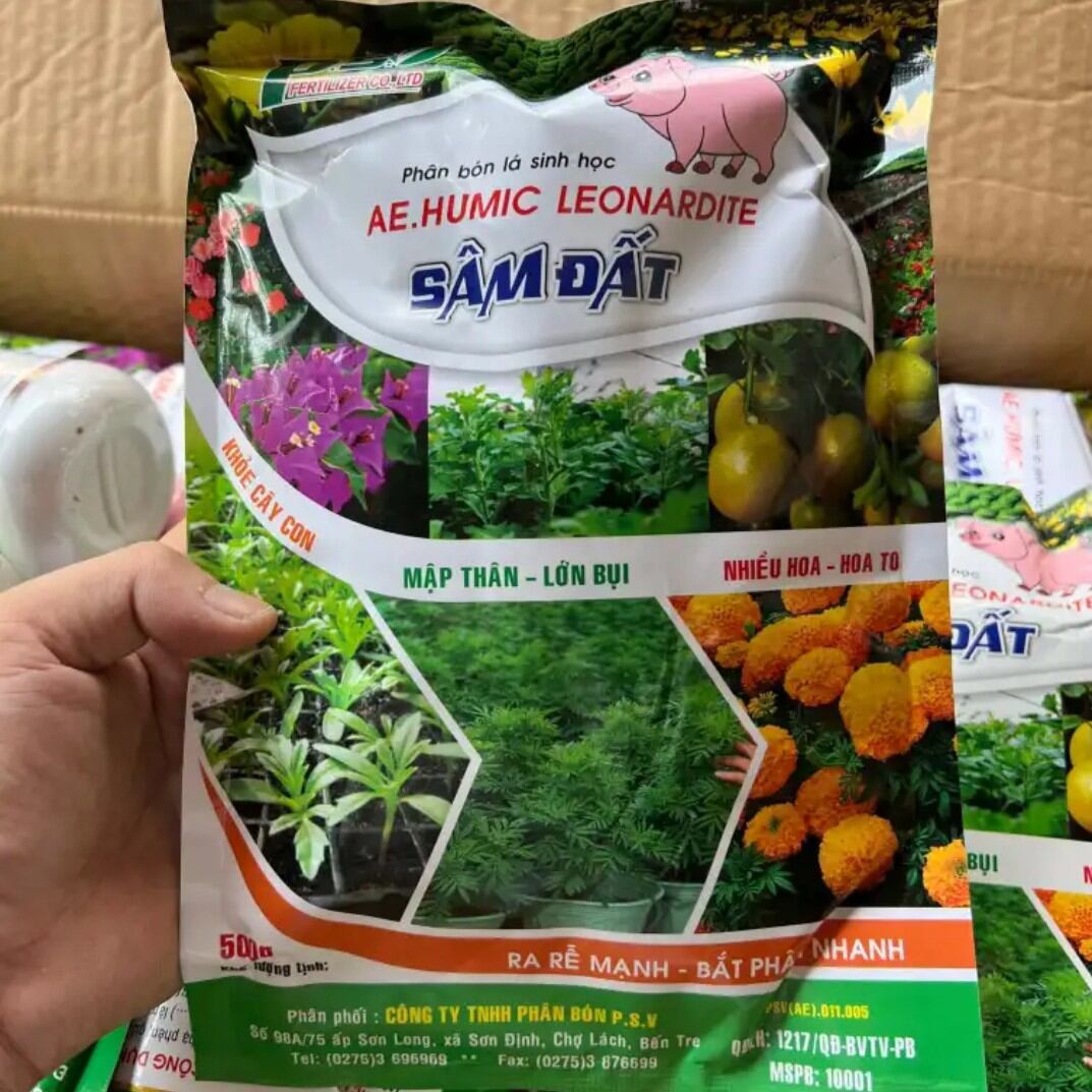Phân bón lá sinh học AE Humic Sâm Đất Khoẻ cây con mập thân lớn bụi túi 500g